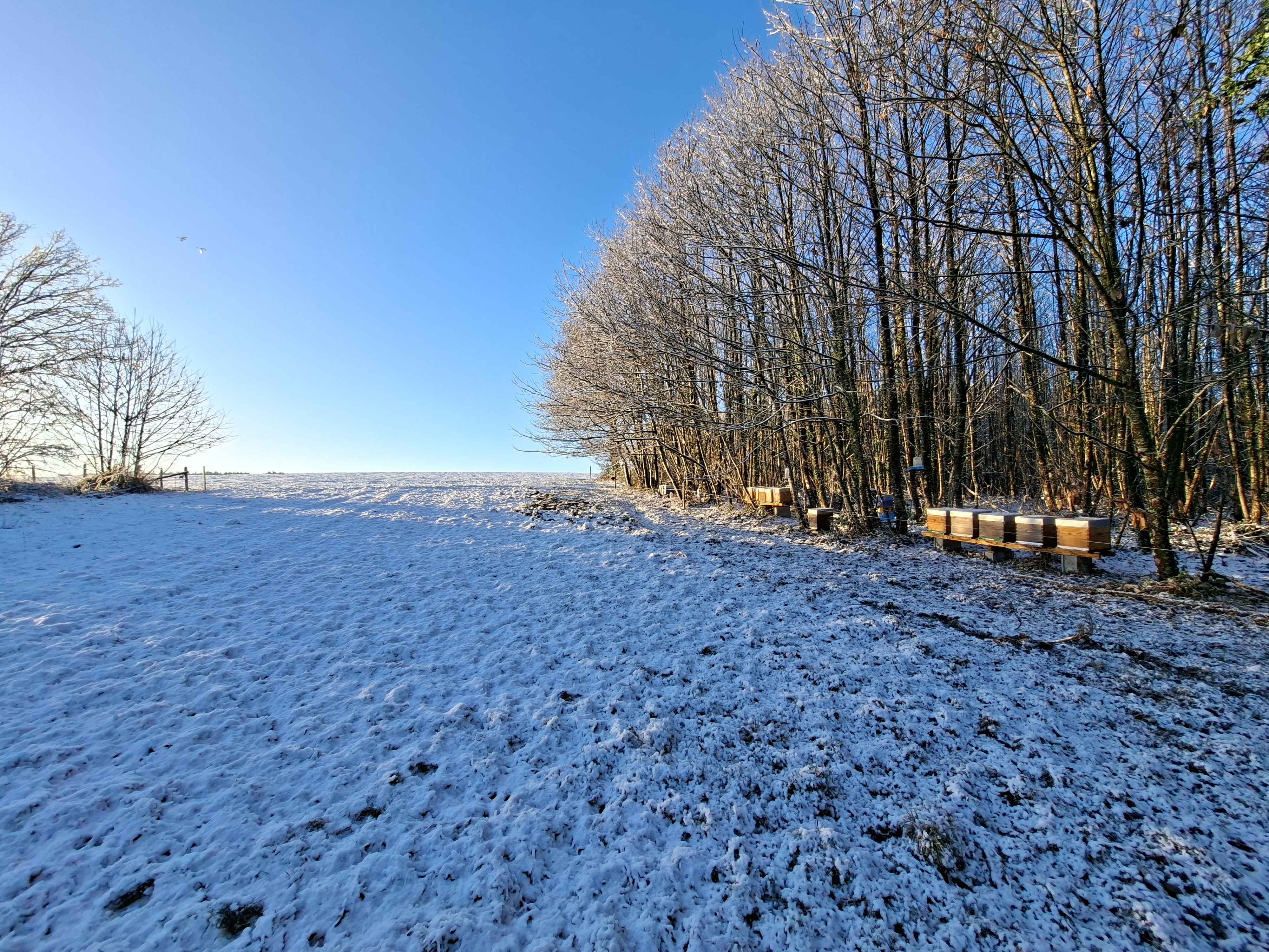 Rucher de Matthieu Colas en hiver