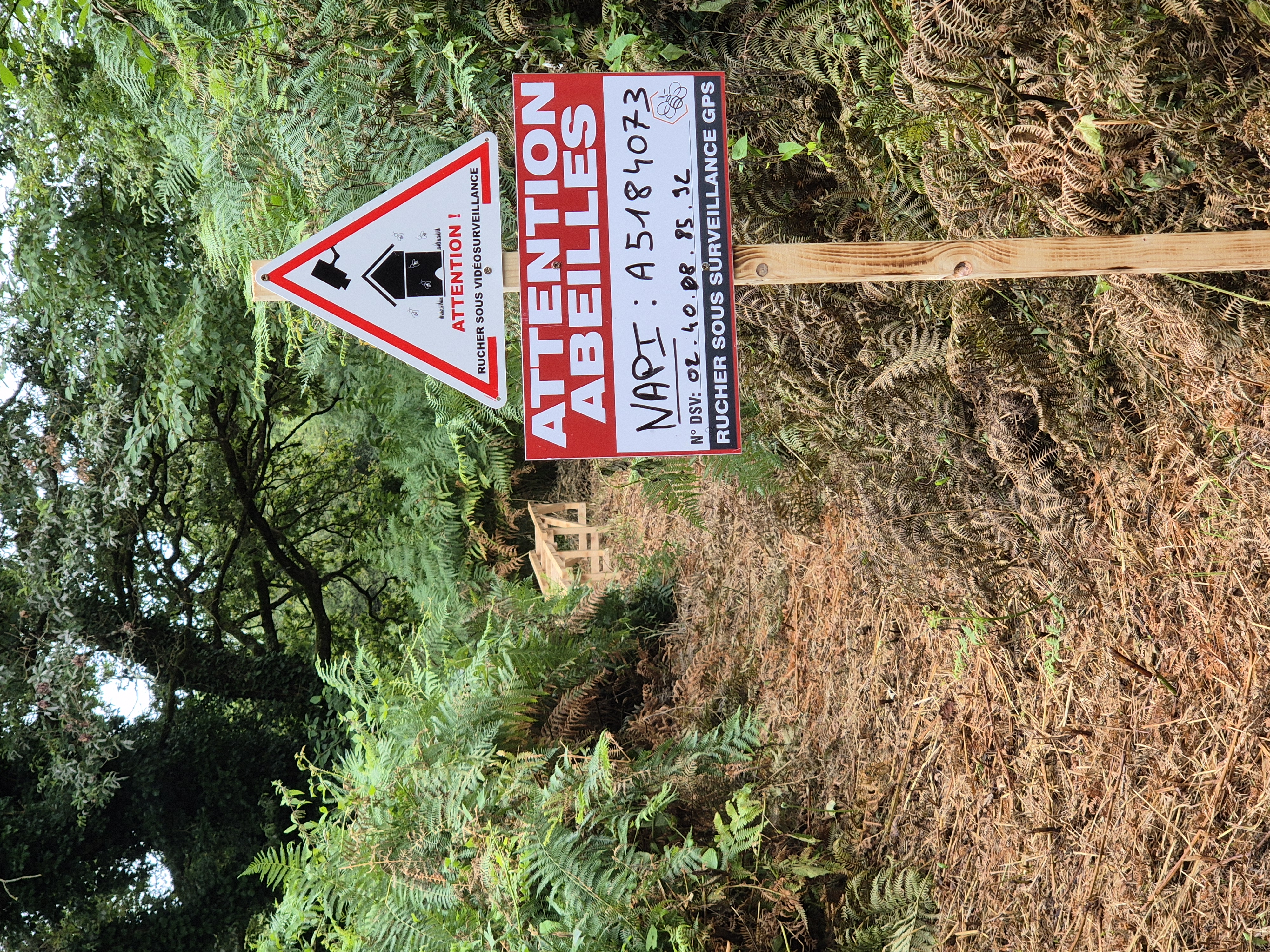 Attention abeilles en Loire-Atlantique, ne pas approcher du rucher.