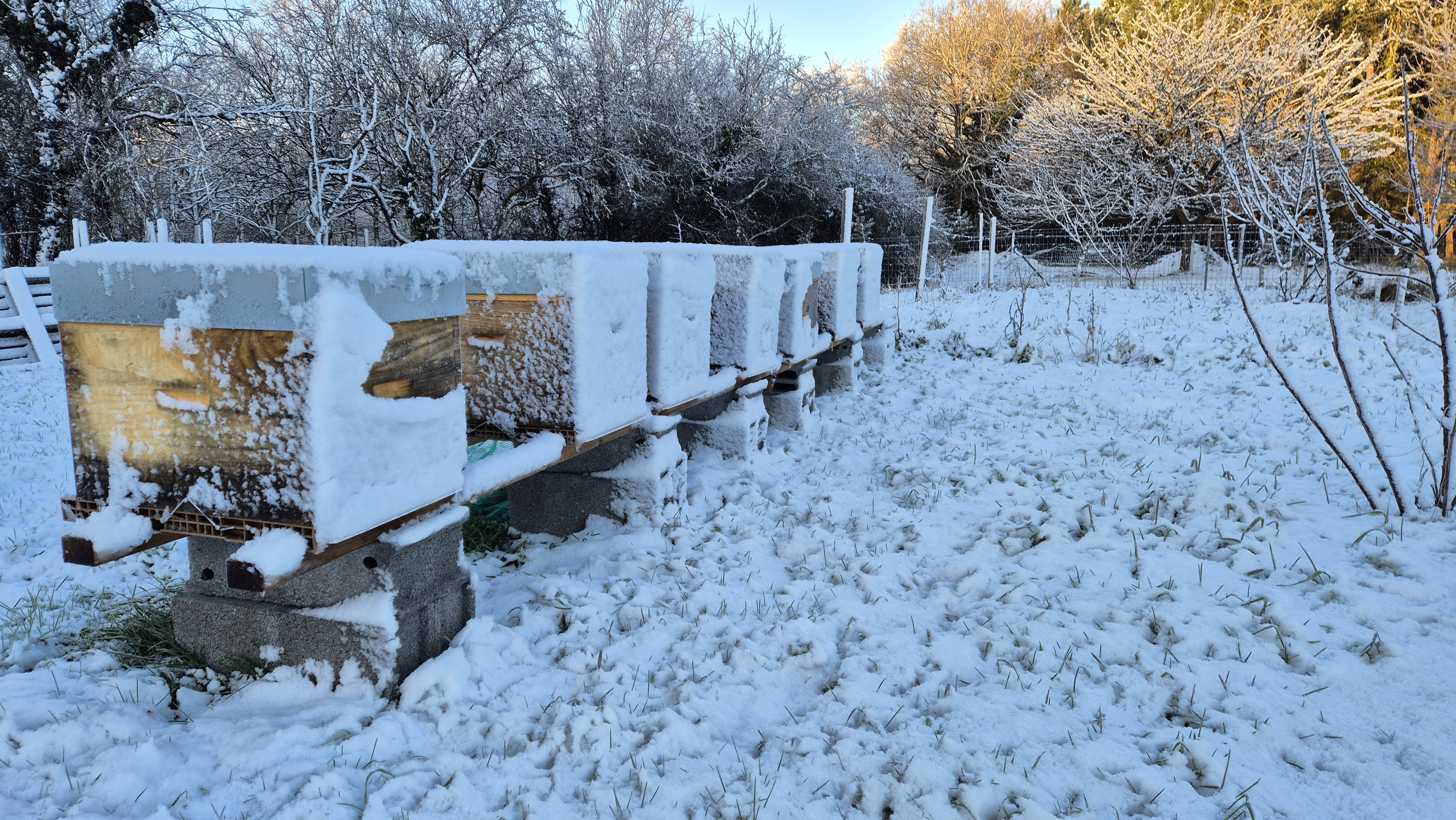 Rucher en hiver à Saint-Hilaire-De-Chaléons