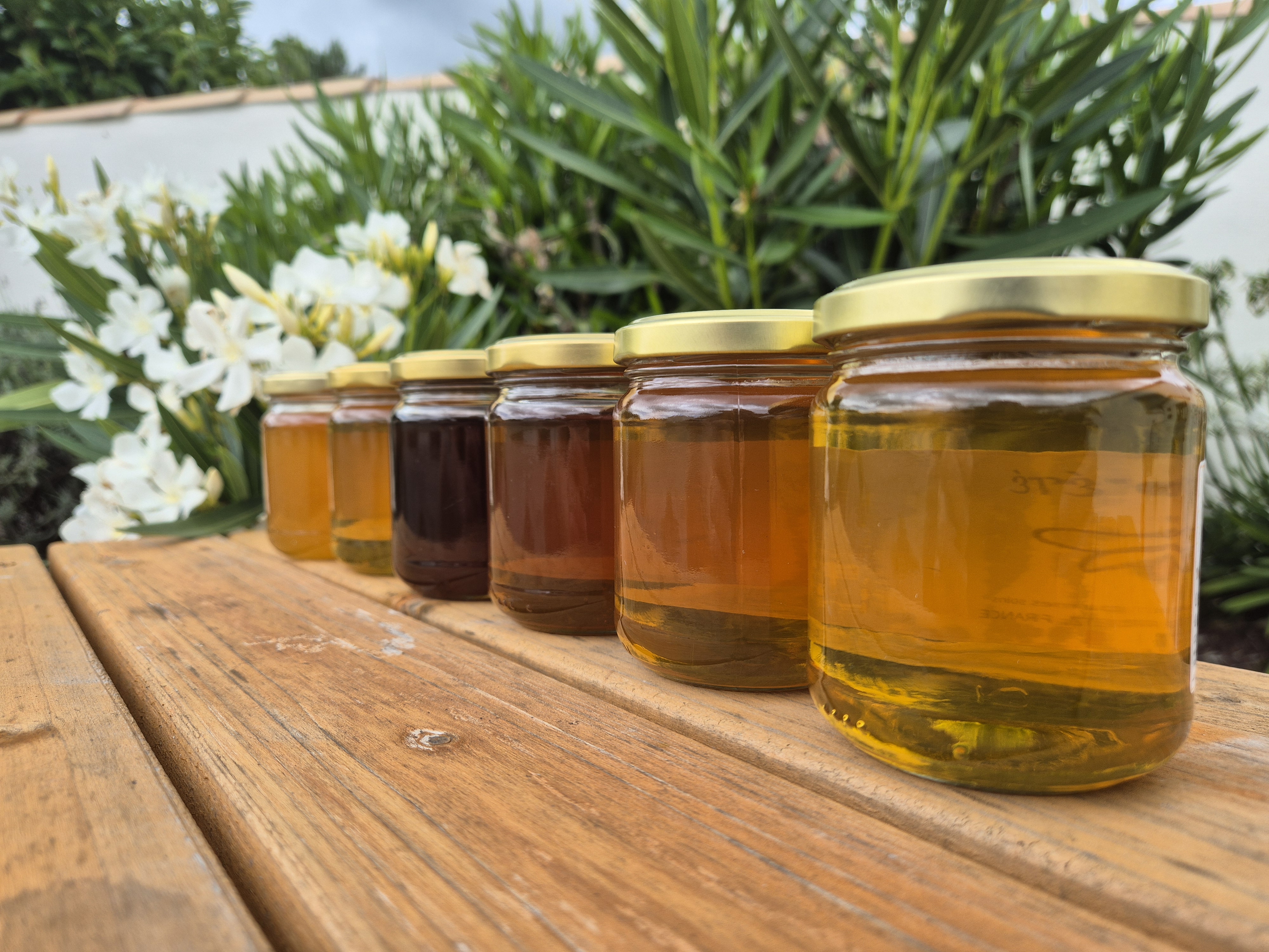 plusieurs pots de miel Bee Api'C avec des couleurs différentes